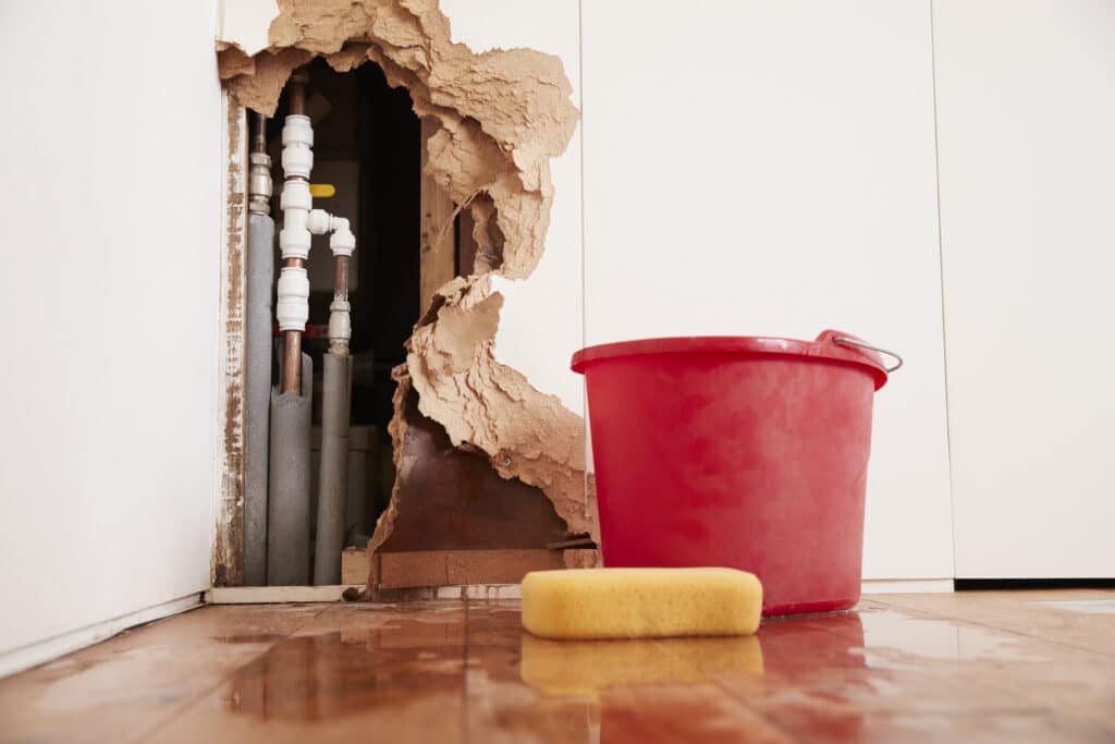 Common Water Damage Issues in Dallas - Water Damage Mitigation Near You