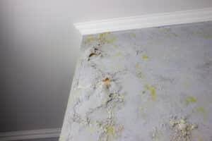 Phoenix Monsoon Season: How It Causes Water Damage in Homes