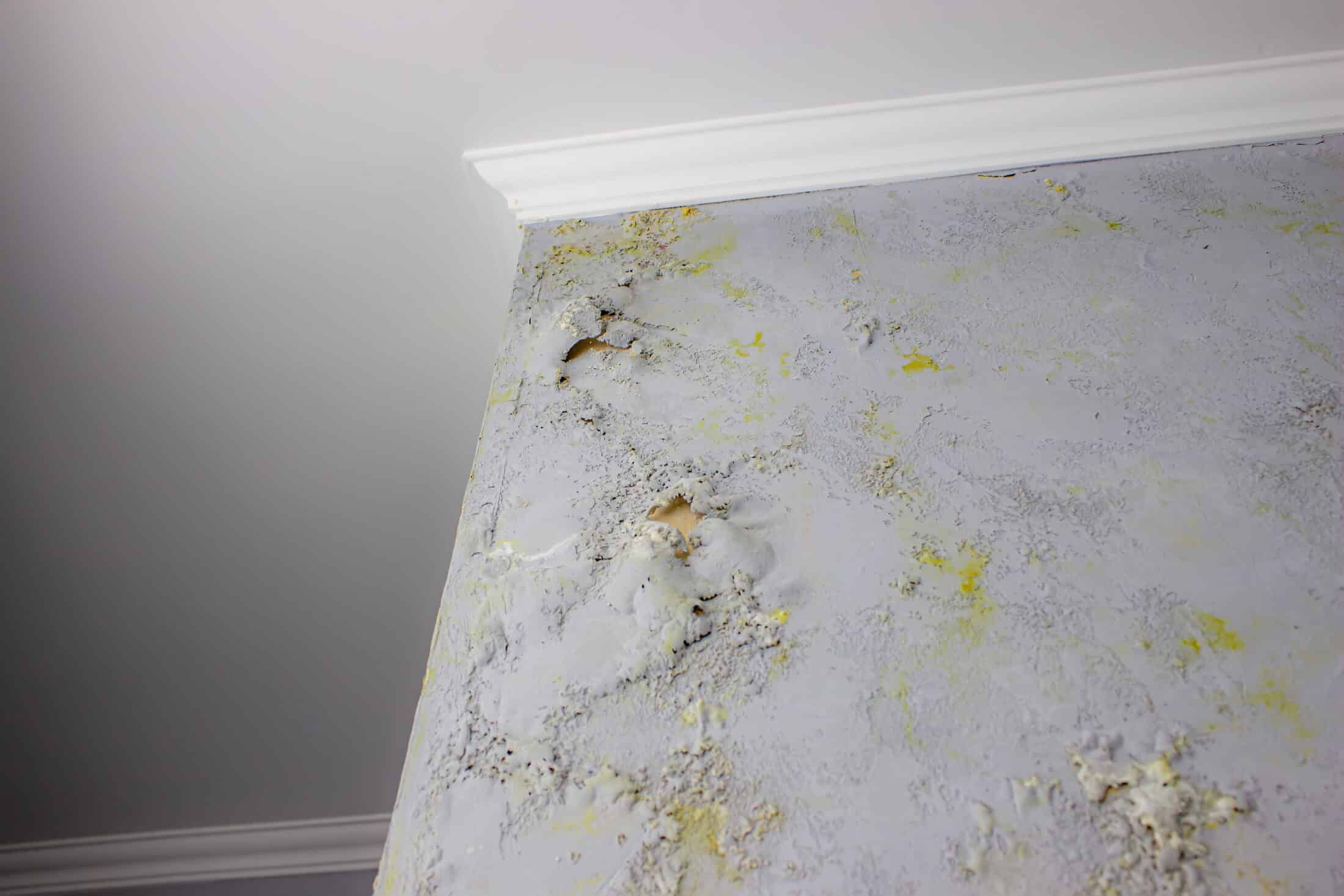 Phoenix Monsoon Season: How It Causes Water Damage in Homes