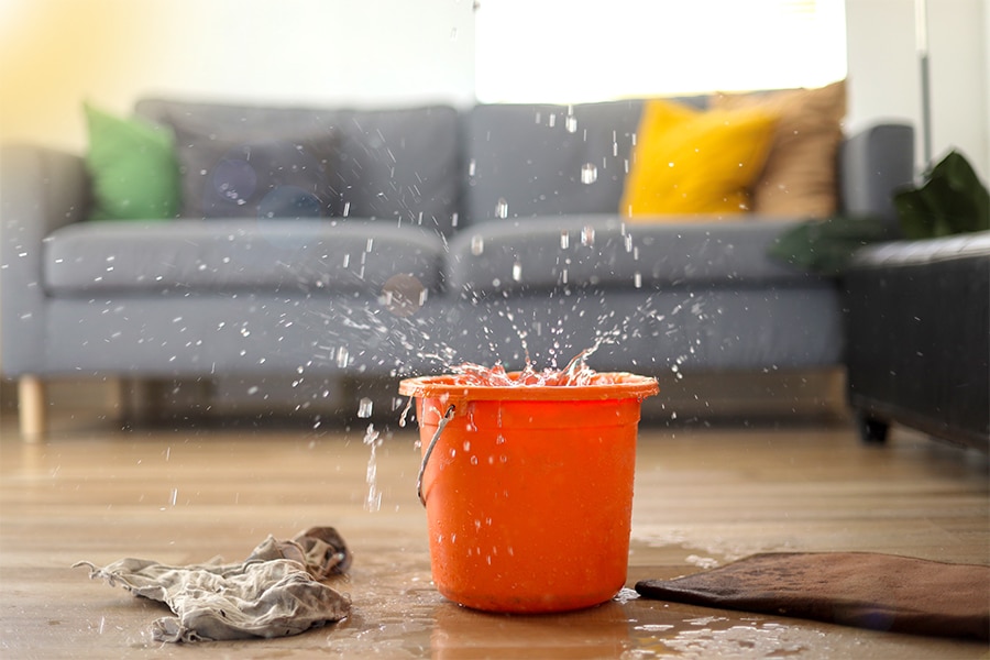 Phoenix Water Damage - Prevention, Cleanup & Restoration