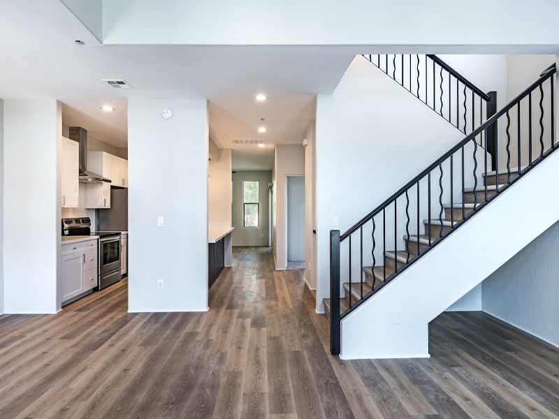 Why Choose Renu for Mold Remediation in Orlando FL