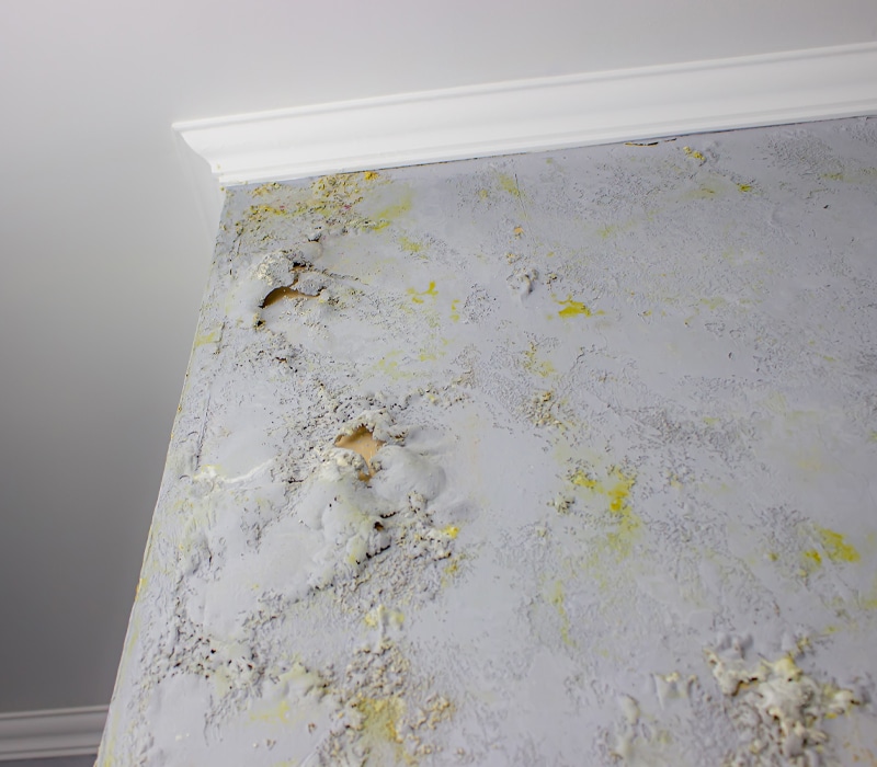 Why Mold Happens in Orlando Homes - Quick Mold Testing