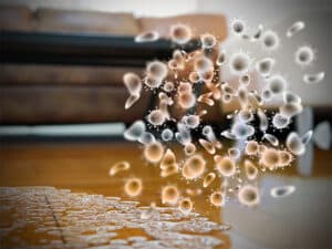 10 Early Warning Signs of Mold in Your Home and What To Do About It