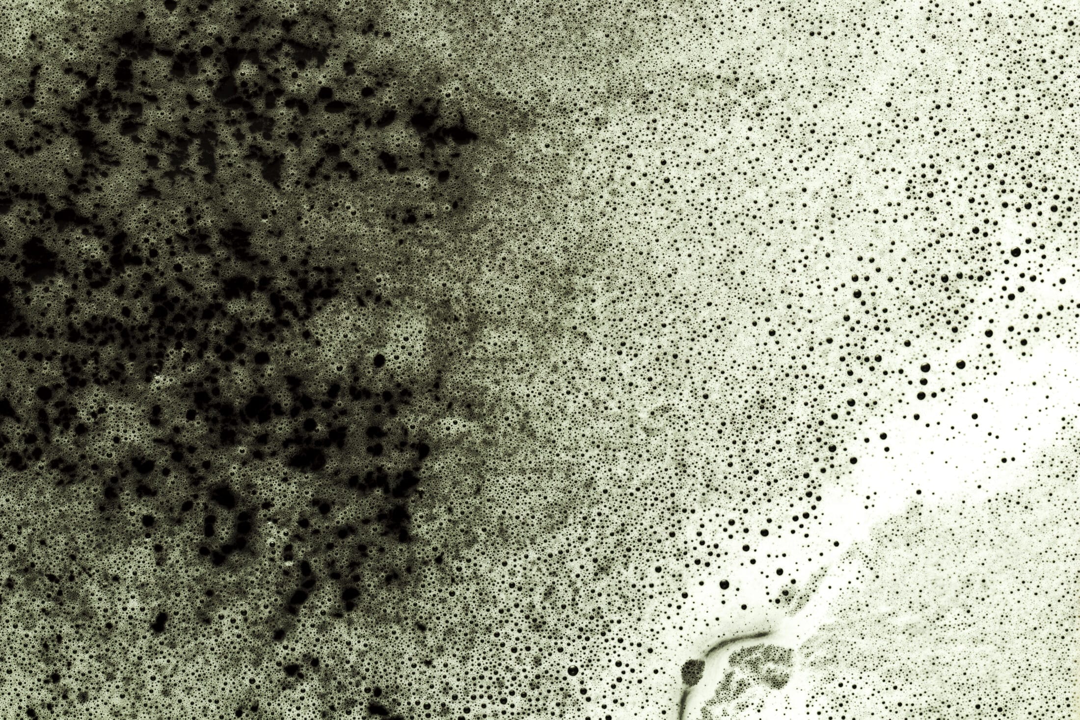 Professional Mold Remediation & Removal Las Vegas - 24/7 Quick Response & Trusted Services