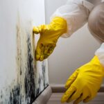 Hidden Mold in Walls: Detect & Fix Before It Worsens