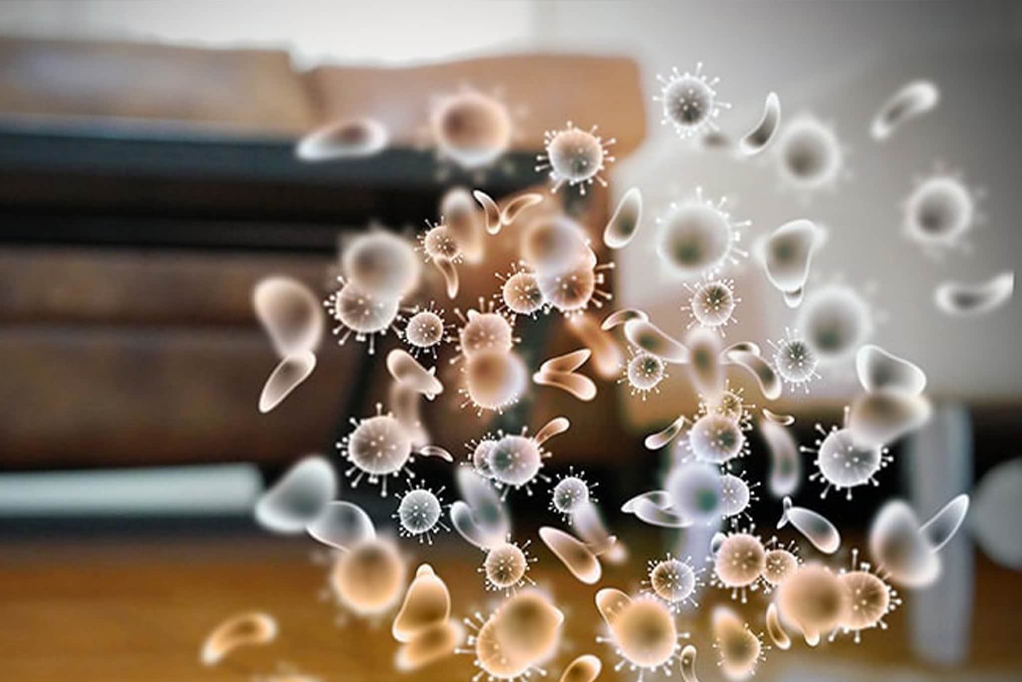 24/7 Mold Mitigation and Removal - 24/7 Emergency Response Near You