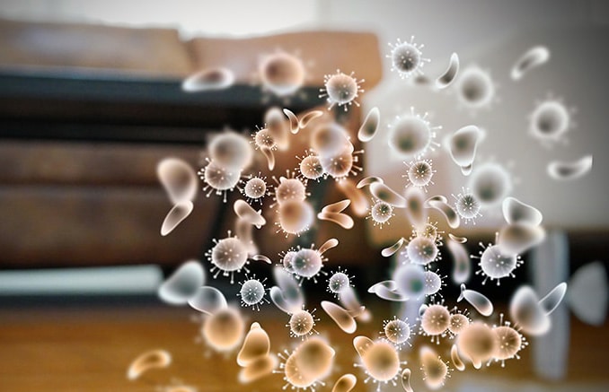 24/7 Mold Mitigation and Removal - 24/7 Emergency Response Near You